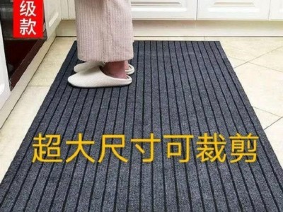 咏幻入户门厨房地垫地毯门垫进门脚